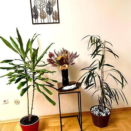 Vintage Bucharest apartment Extérieur photo