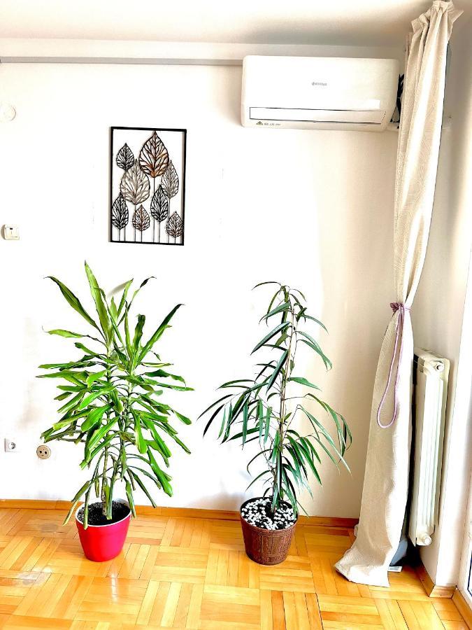 Vintage Bucharest apartment Extérieur photo