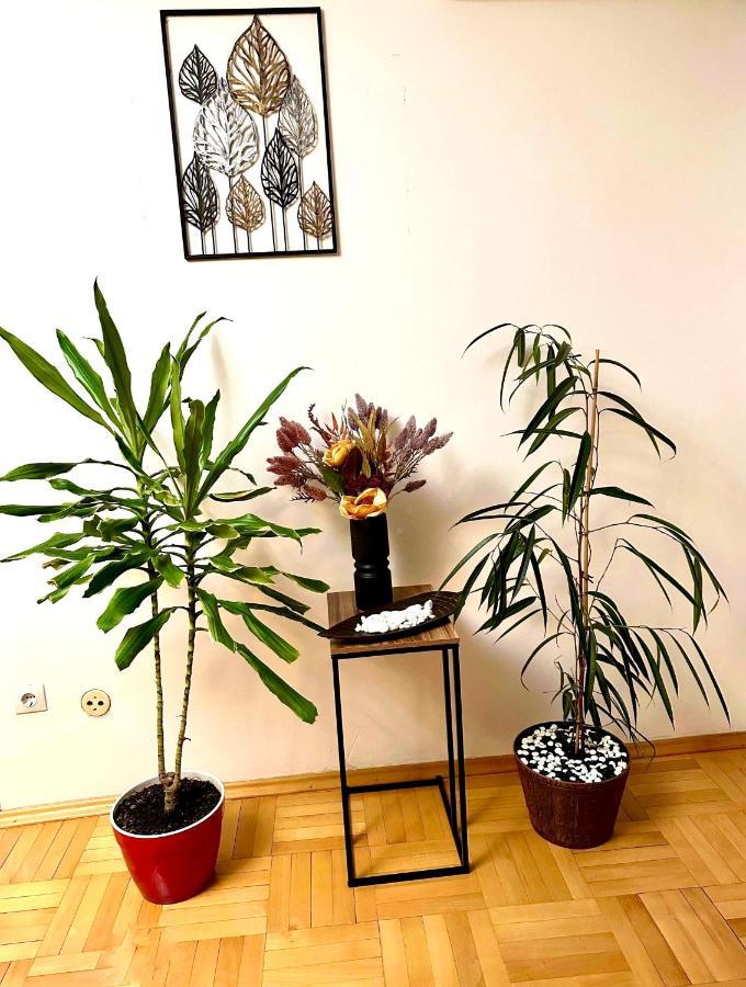 Vintage Bucharest apartment Extérieur photo